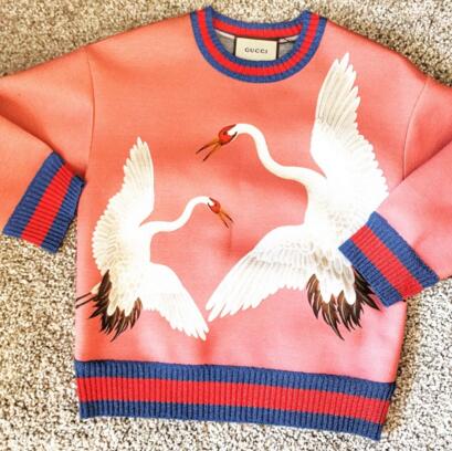 男士卫衣高端品牌300元左右,女性卫衣品牌排行榜前十名国内