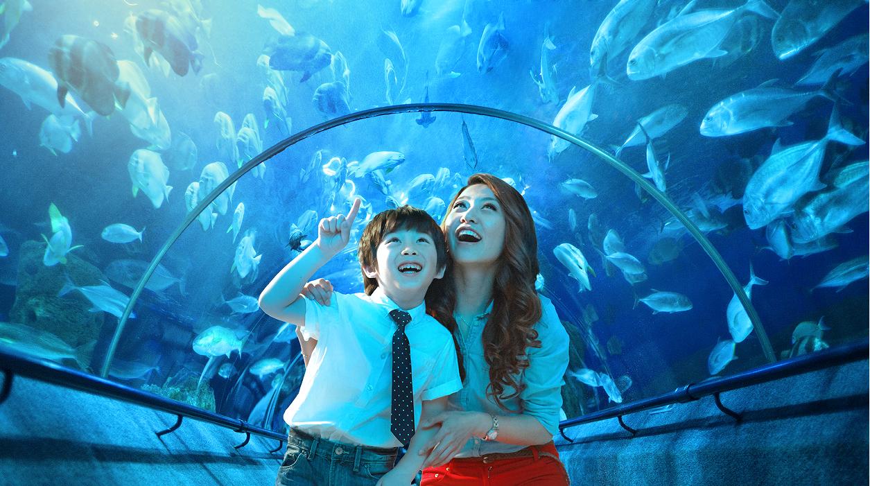 游大连圣亚海洋世界,大连圣亚海洋世界跟团游