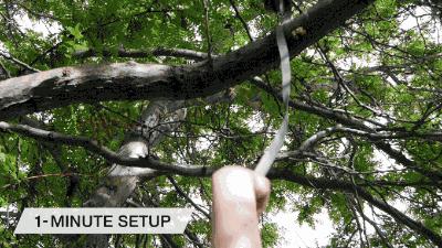 trx跑步机,新手跑步机健身入门