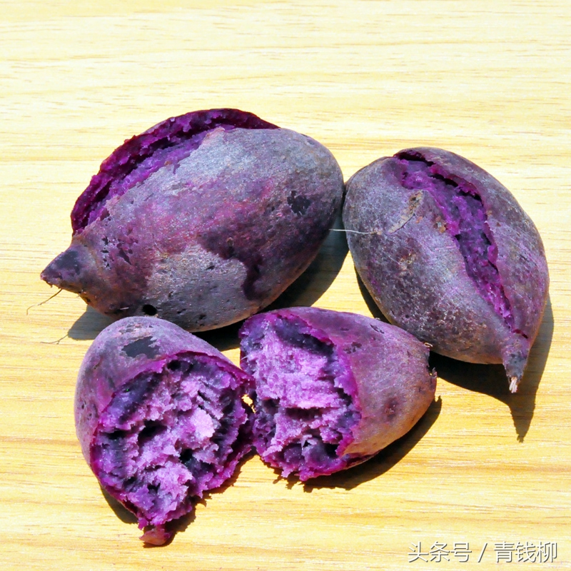 特种草莓种植技术,特种蔬菜无土栽培技术