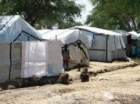 南苏丹维和故事：拯救“总指挥”“鸡毛信”营地捣乱的狒狒