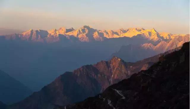 奇葩牧场|不养牛不养羊,居然养这个?