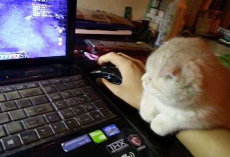 畅玩游戏超高性价比主机,流畅玩游戏的500元以内的手机