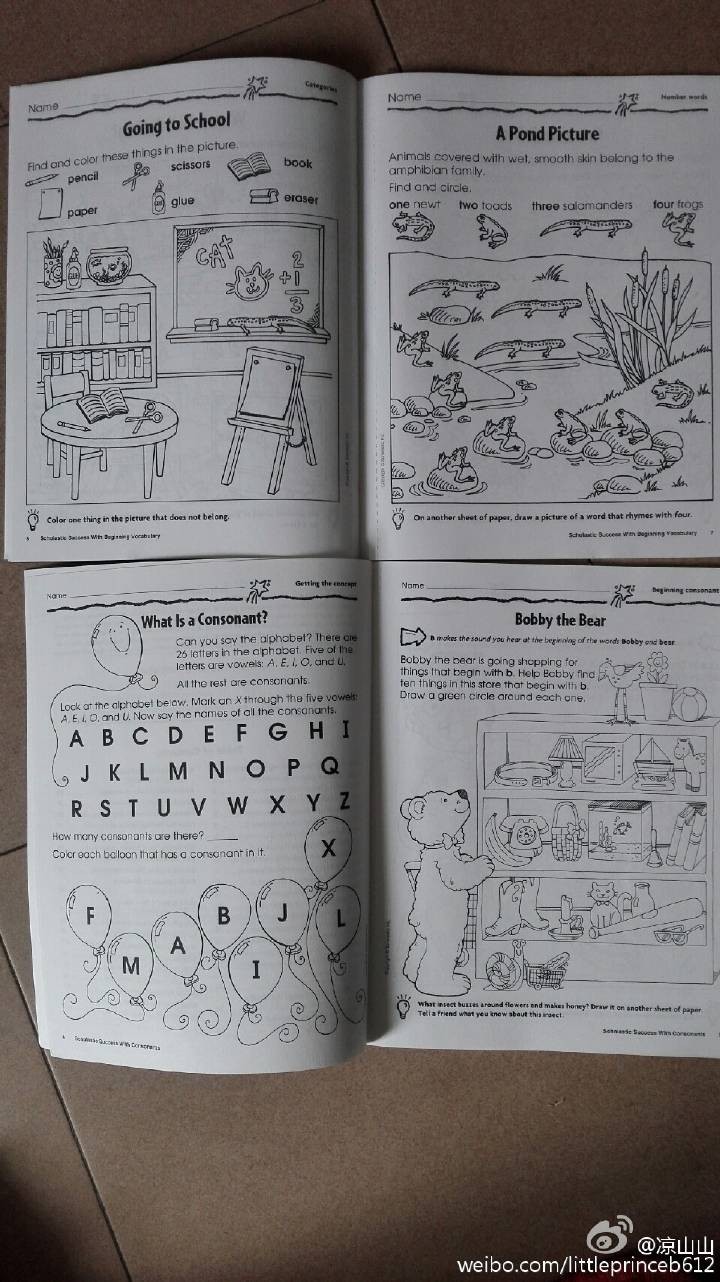 那些年,我和孩子“玩儿”过的原版练习册