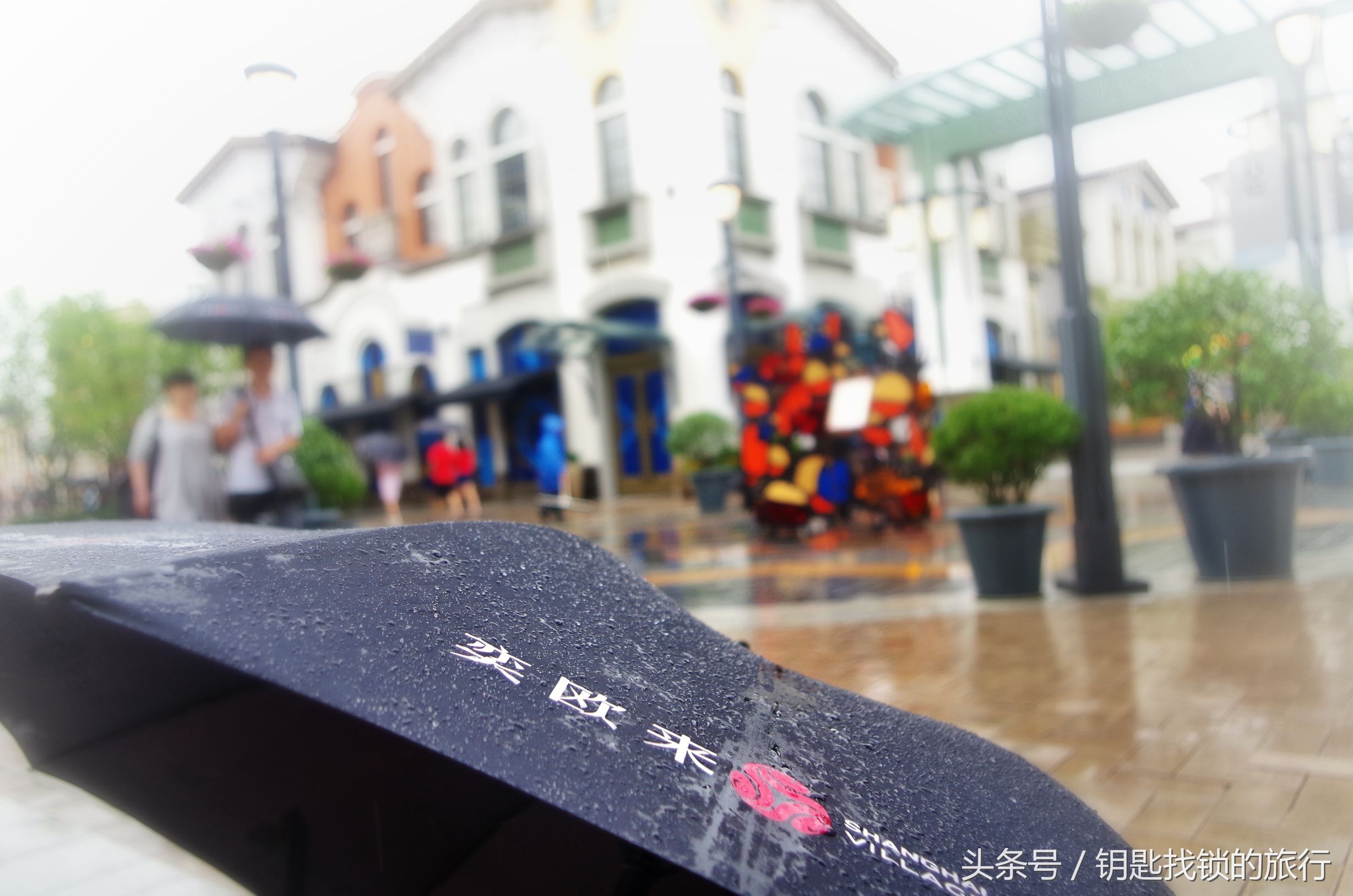 来苏州不去拙政园可以去哪里,去苏州不去景点可以到什么地方耍