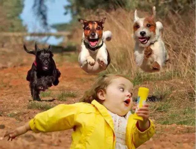 乳牙脱落时有哪些现象视频,拔乳牙视频全过程