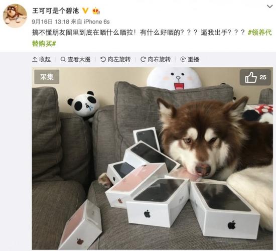 读书没用？首富王健林送“国民老公”王思聪留学读书比谁都会玩