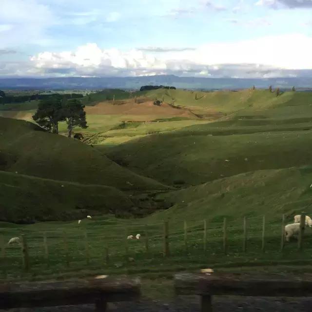 友说|带着宝贝去旅行，我与Eve的霍比屯之旅