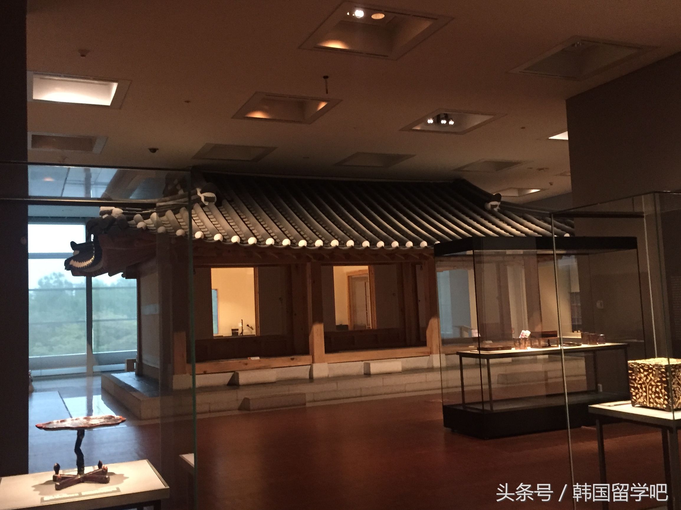 老教授带学生去山洞找文物,韩国教授来到中国博物馆