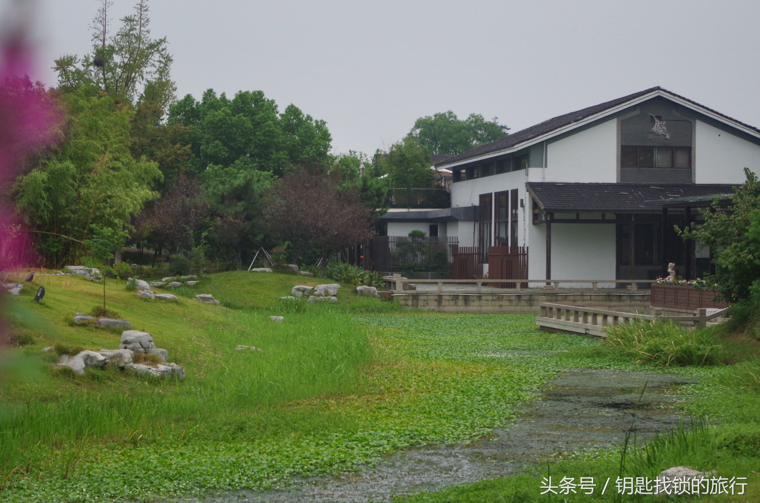 来苏州不去拙政园可以去哪里,去苏州不去景点可以到什么地方耍