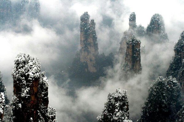 到底为何物——李时珍一生不得，而光绪皇帝亲口称赞？