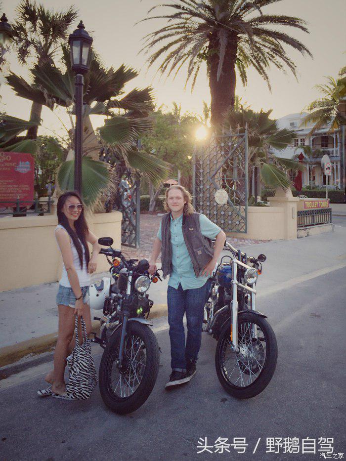 野鹅旅行,野鹅自驾无人区