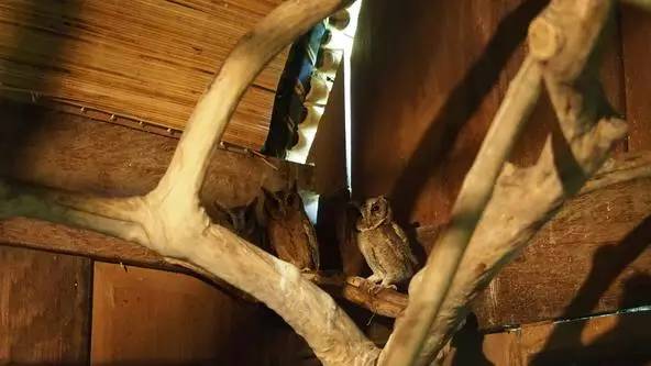 朋友圈发海边泳衣照好不好,朋友圈晒沙滩泳装