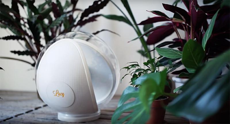 日照绿茶价格表,日照房价