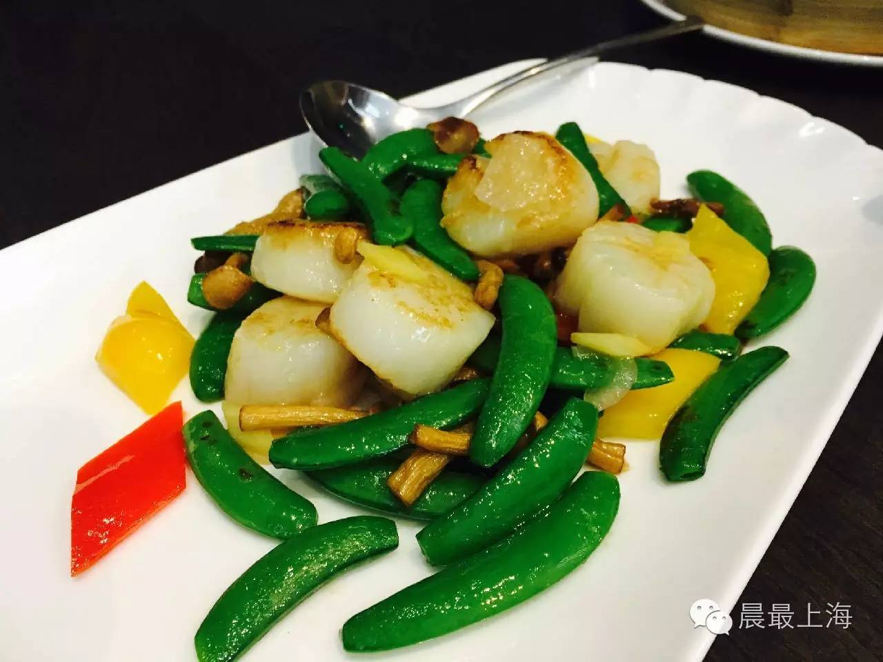 找乐子|这么多预约电话打不通!要集齐上海米其林全套简直路漫漫