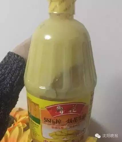 乌龟还能救过来吗,奄奄一息的小乌龟还有救吗