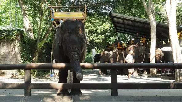 朋友圈发海边泳衣照好不好,朋友圈晒沙滩泳装