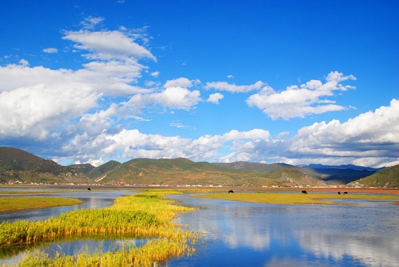 中国秋天最美的十个地方,秋天最美的旅游地点