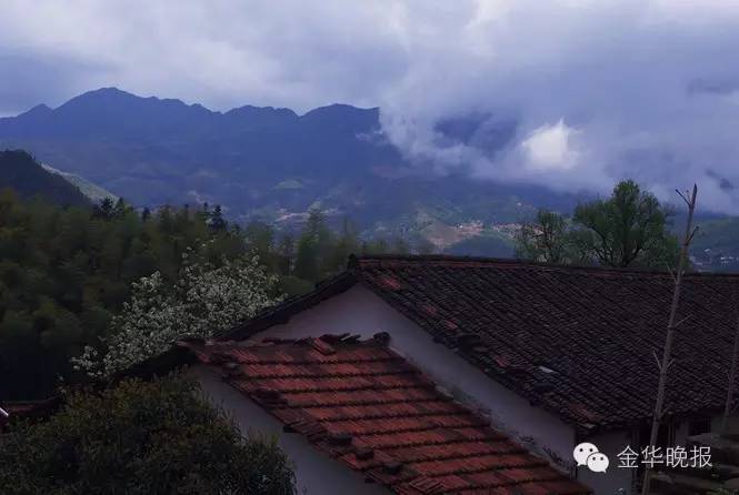 景点现在拥挤,景点拥挤