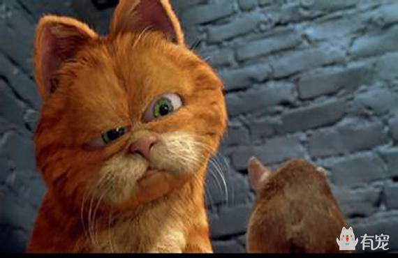 如果你是加菲，你会问吗？