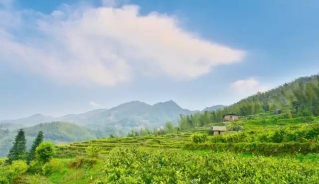 江西10.1小众自驾游路线推荐,江西最好的10条自驾游线路