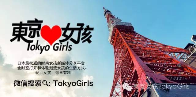 lv手机套,lv新款手机套