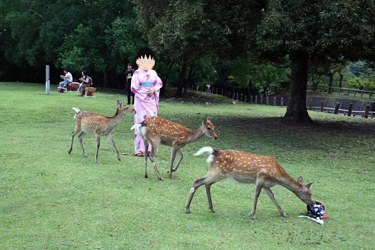 姣忎釜浜洪兘琚楠楄繃,姣忎釜浜洪兘浼氳娆洪獥