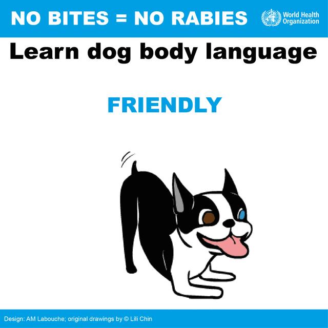 被狗咬预防方法,被狗咬了国际处理法