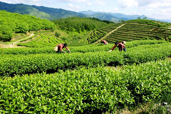 农产品从田间到消费者手里去,农产品从农民手中到消费者的过程