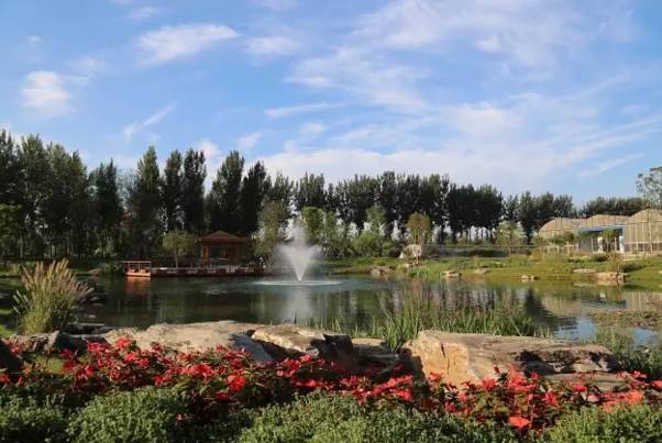 科学小记者招募,科学小记者活动