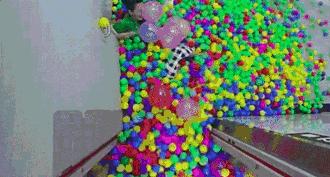 刘烨一家四口颜值照片,刘烨丑不丑