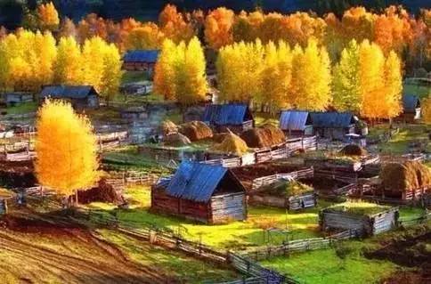 十一最热门出游地,十一最适合旅游的地方