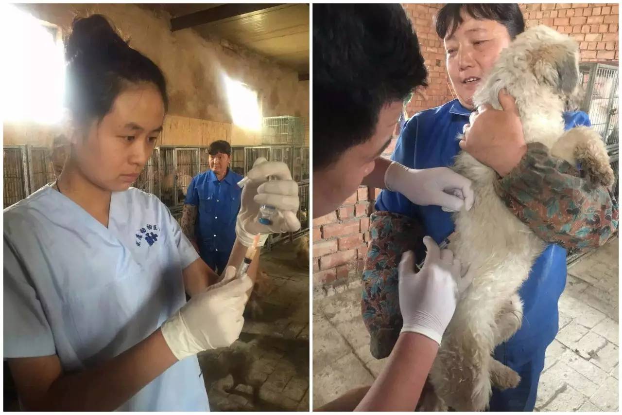 crc项目初期的准备工作,crc项目流程