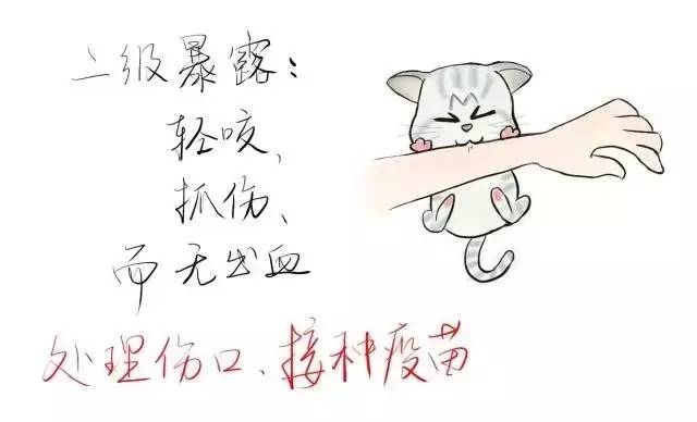 狗苗抓回来就要先打疫苗吗,买狗疫苗要打全才能买回去吗