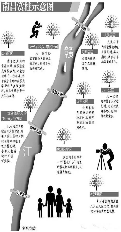 最佳赏桂花地点手绘地图,桂花赏花地图