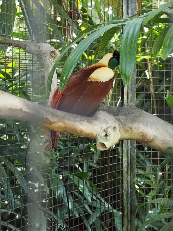 朋友圈发海边泳衣照好不好,朋友圈晒沙滩泳装