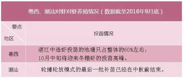 珠三角目前是冬棚虾养殖关键时期,掌握这几点冬棚养虾才能成功