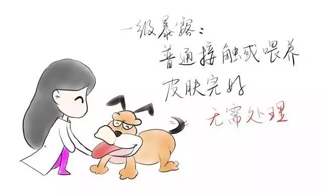 狗苗抓回来就要先打疫苗吗,买狗疫苗要打全才能买回去吗