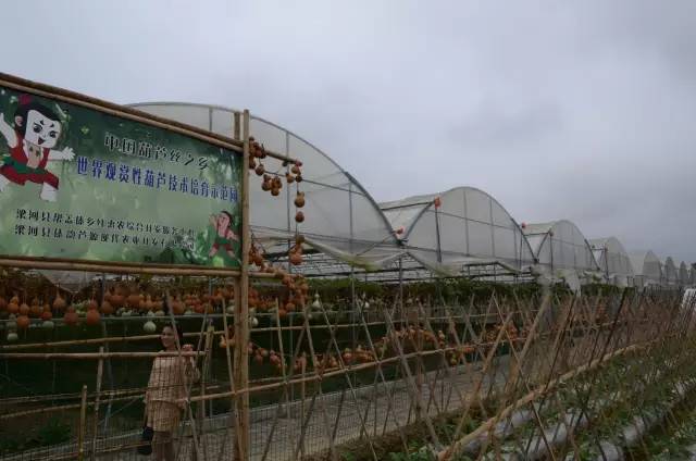 葫芦丝非遗传承人哏德全,葫芦丝大师哏德全故居