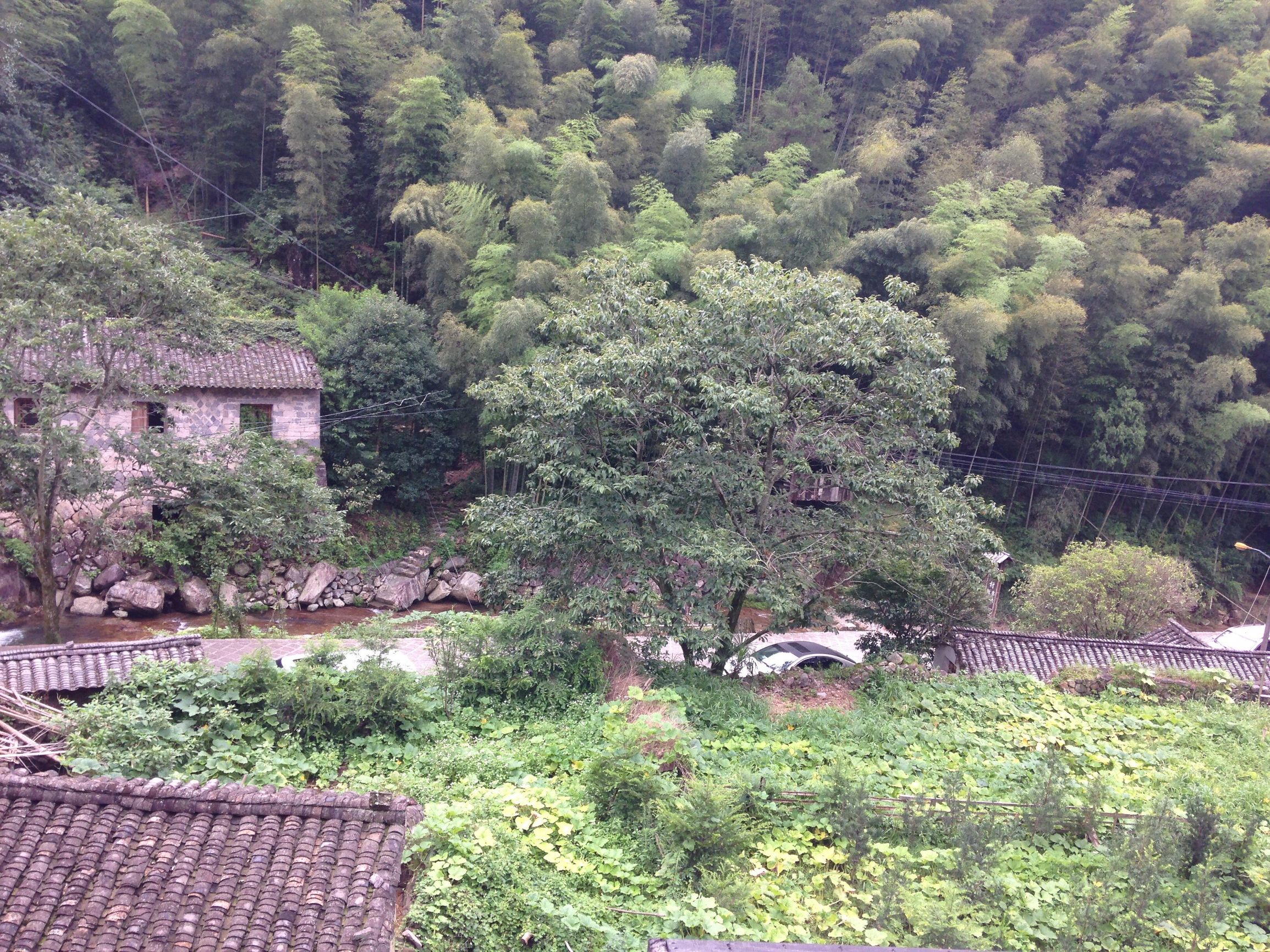 温州楠溪江好的民宿客栈价格表,楠溪江可以免费玩水的民宿