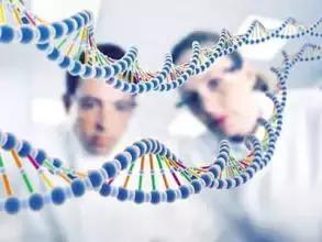 牙中间有缝怎么办,前牙有缝修复