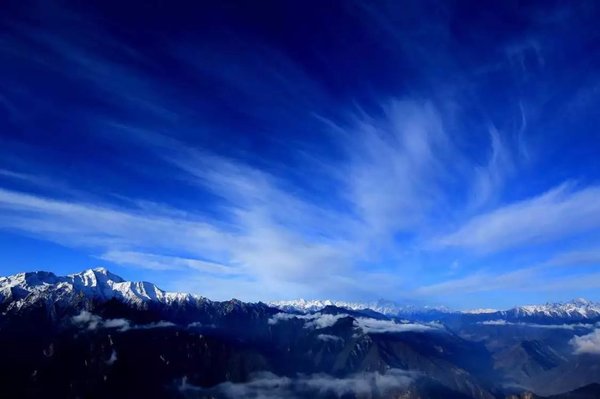 奇葩牧场|不养牛不养羊,居然养这个?