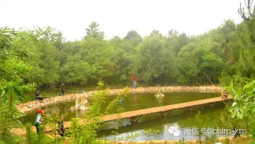 板扎昆明,板扎云南烧烤