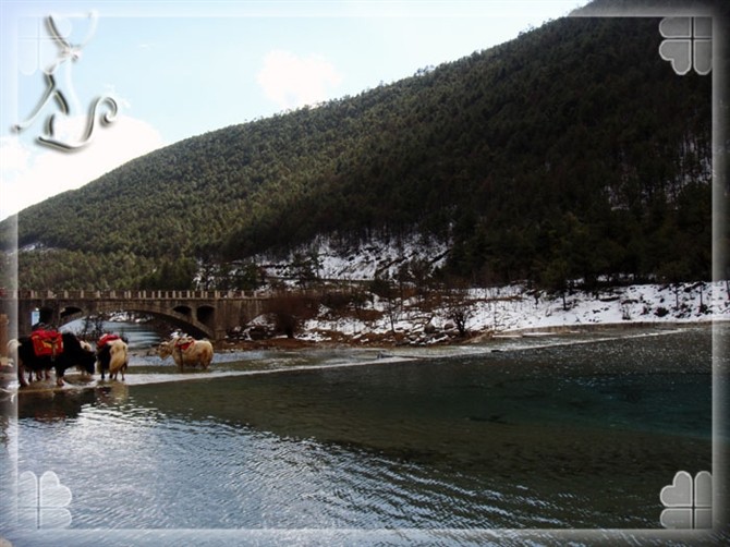 2015游云南玉龙雪山 (昆明玉龙雪山之旅)