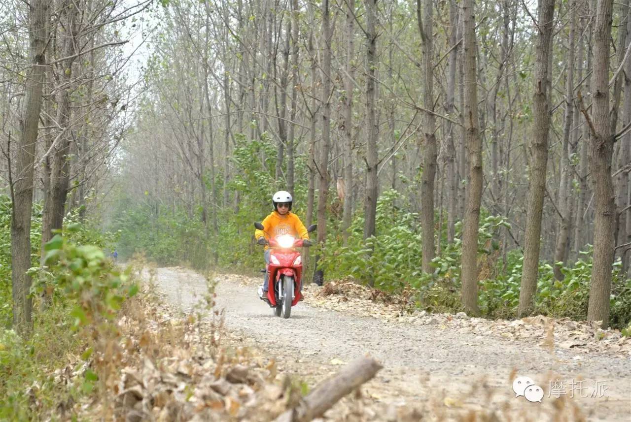 豪爵uh110和威武110s,豪爵铃木uh110摩托车评测