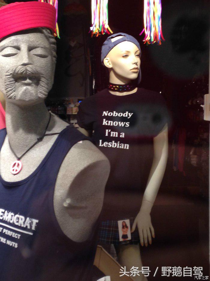 野鹅旅行,野鹅自驾无人区