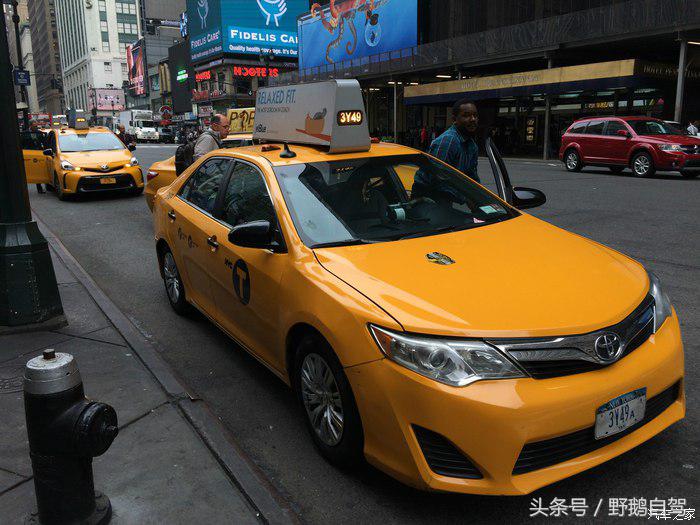 野鹅旅行,野鹅自驾无人区
