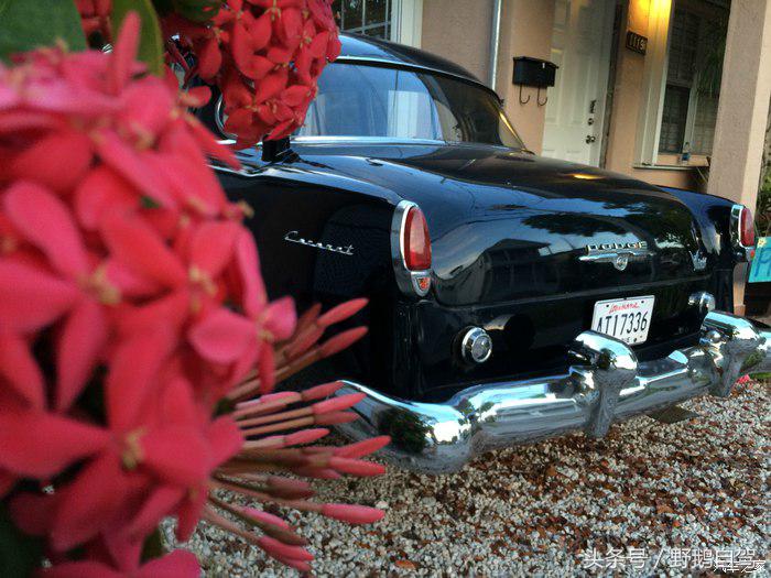 野鹅旅行,野鹅自驾无人区