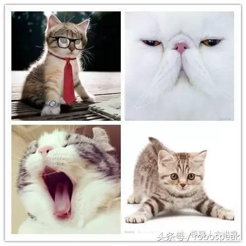 计算机视觉和机器视觉有区别么,计算机视觉和机器视觉区别