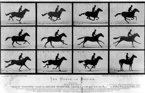 能骑马吗,骑马四种步伐